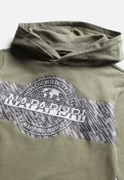 Napapijri Pinzon - Hoodie - Green Lichen -Napapijri 130c7f58037f404299f46b285a73ee10