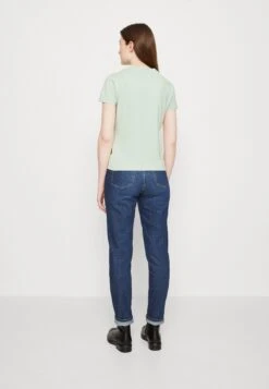 Napapijri Morgex - T-Shirt Basic - Green Frost -Napapijri 4459ee69e2004e1cbf1c41df00a542a5