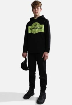 Napapijri Pinzon - Hoodie - Black
