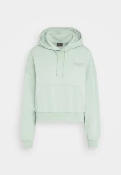 Napapijri Morgex - Hoodie - Green Frost -Napapijri 735bb62c3ad44fed9adf23b46213207f
