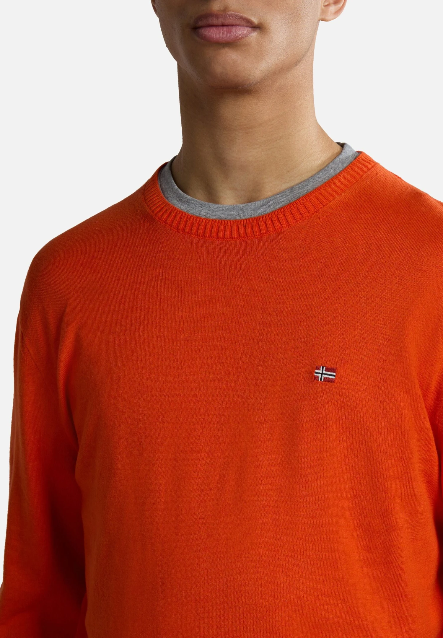 Napapijri Decatur - Trui - Red Cherry R 6 Napapijri Decatur - Trui - Red Cherry R - Afbeelding 4