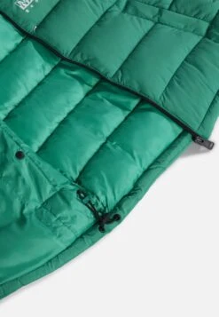 Napapijri A Bachar - Winterjas - Green Parakeet 11 Napapijri A Bachar - Winterjas - Green Parakeet -Napapijri 7f7bd1ebedc44e969e9a0a5cfba4a11e