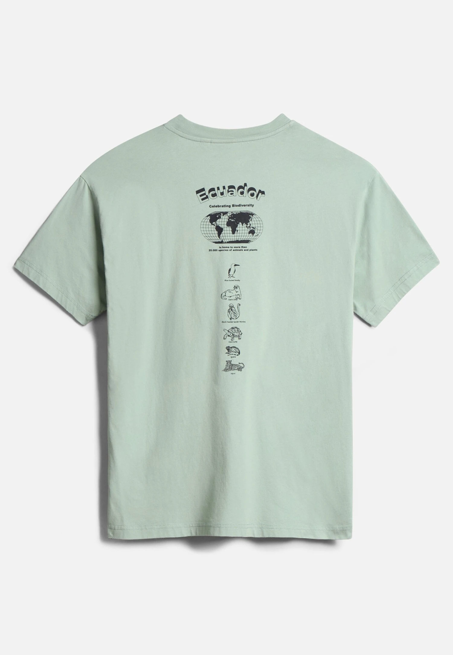 Napapijri Paradise- T-Shirt Print - Green Frost G1E 10 Napapijri Paradise- T-Shirt Print - Green Frost G1E - Afbeelding 8