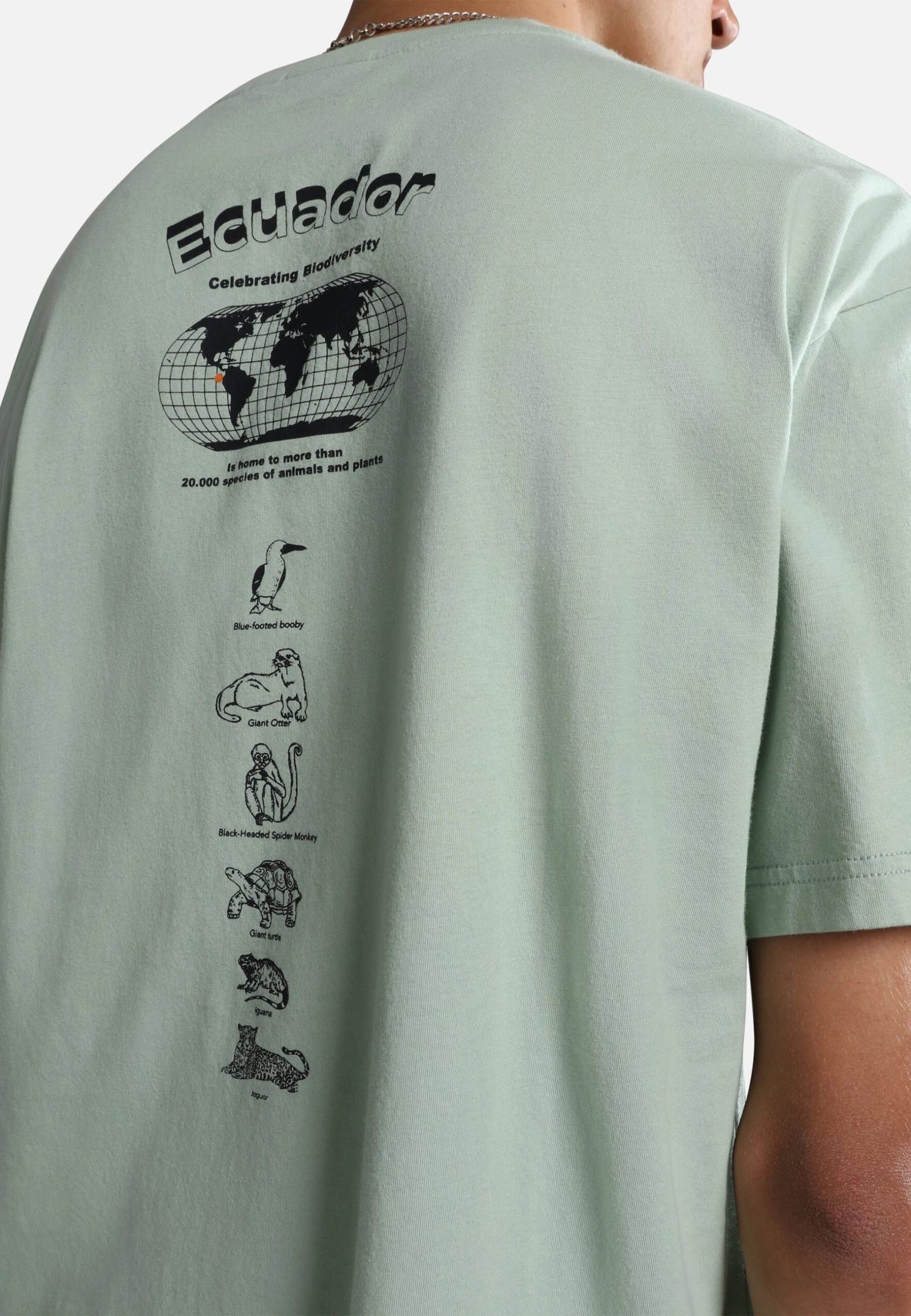 Napapijri Paradise- T-Shirt Print - Green Frost G1E 6 Napapijri Paradise- T-Shirt Print - Green Frost G1E - Afbeelding 4