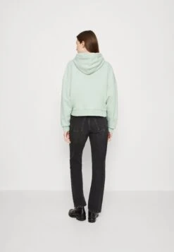 Napapijri Morgex - Hoodie - Green Frost -Napapijri 9d533ed742914a7c9f26925ef622bf4d
