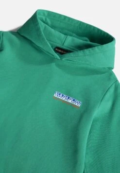 Napapijri K B Fuji H - Hoodie - Green Parakeet -Napapijri a05980be18434b288854994b4cad7dca