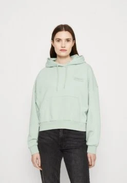 Napapijri Morgex - Hoodie - Green Frost