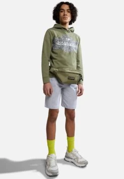 Napapijri Pinzon - Hoodie - Green Lichen
