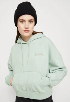 Napapijri Morgex - Hoodie - Green Frost -Napapijri cad3baf08d3c423584b0ed5c547c7085