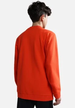 Napapijri Balis Crew - Sweater - Red Cherry -Napapijri dce00e6122f848e7b6b0d7e34c67341c